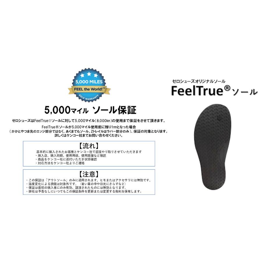 ジェネシス