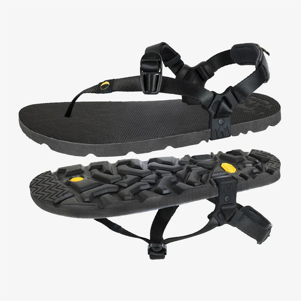Mono Winged Edition